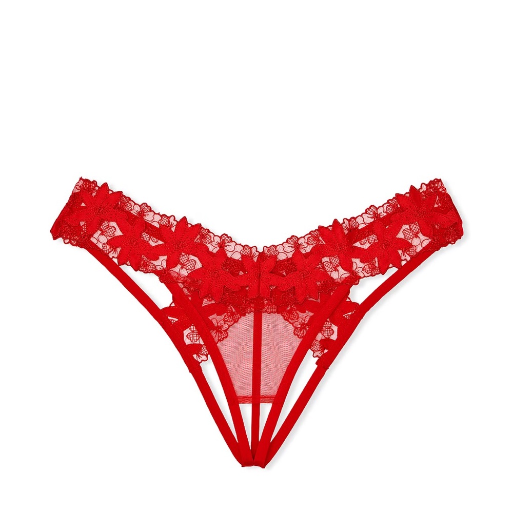 NWT Victoria’s Secret Ziggy Glam Floral Embroidery Crotchless Thong Panty. - Picture 4 of 6